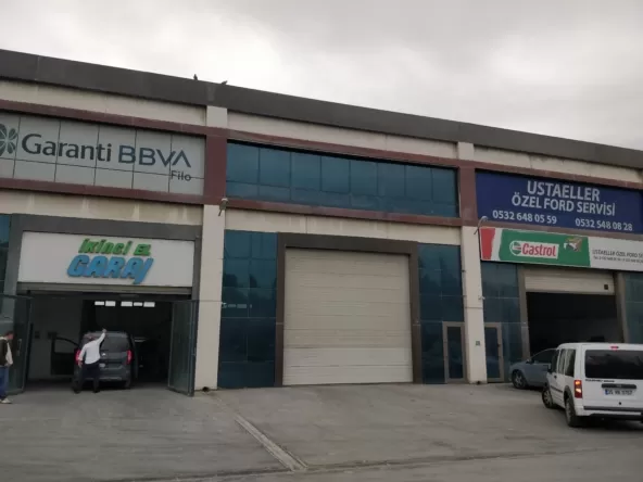 Konum: Bornova doğanlar'da, Hacılar Kırı mevkiinde. Kasım 18, 2025